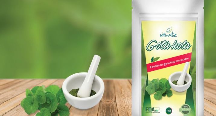 Le Gotu kola, pour une mémoire d’éléphant !